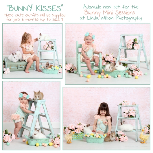 bunny mini sessions