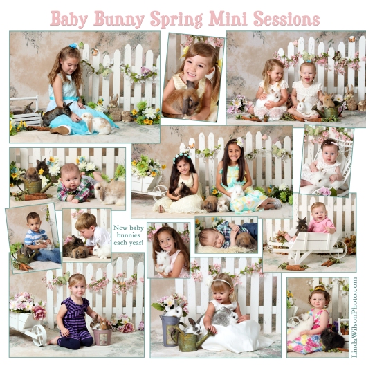 Bunny Mini Sessions